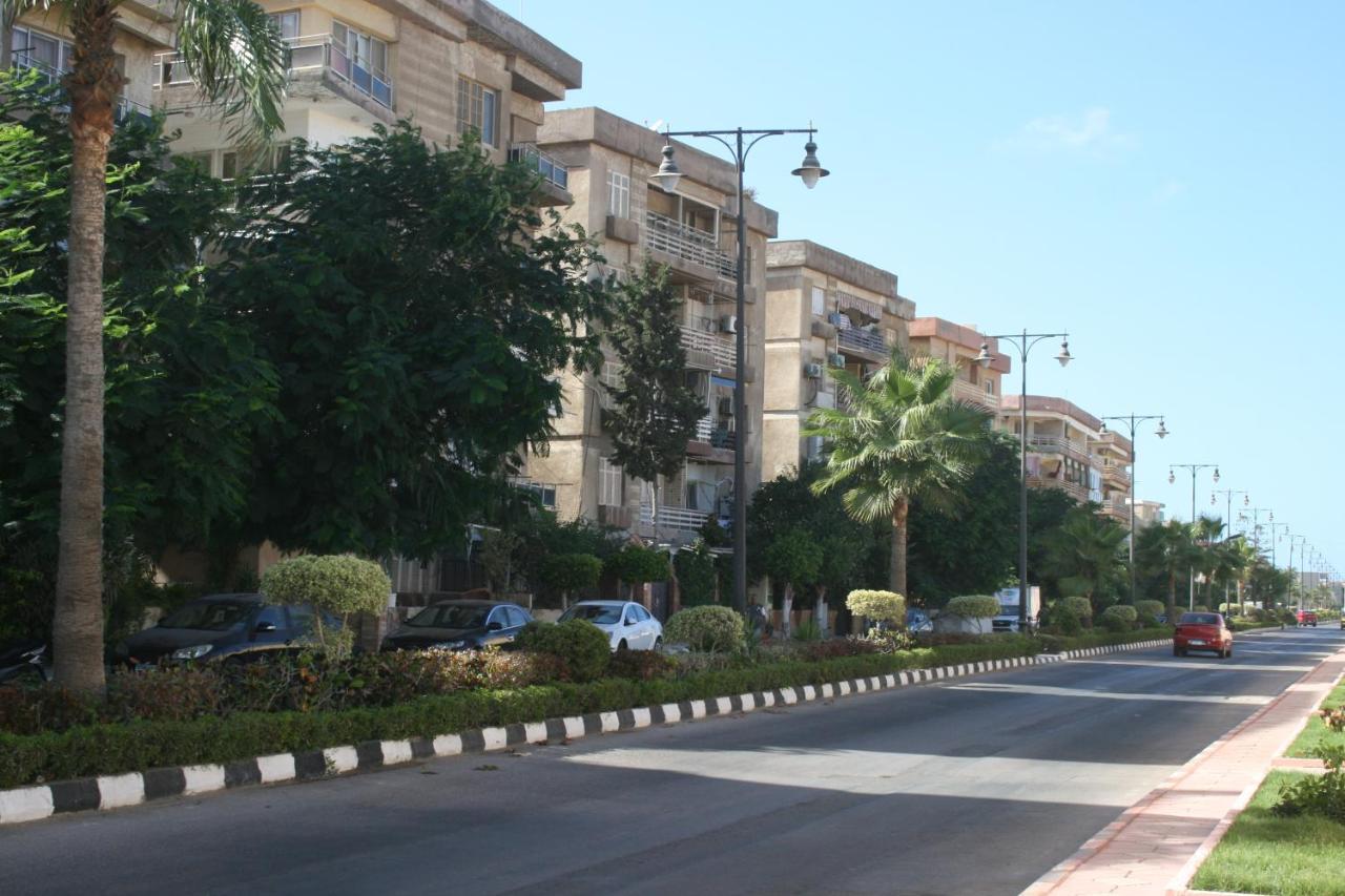 Maamoura 2